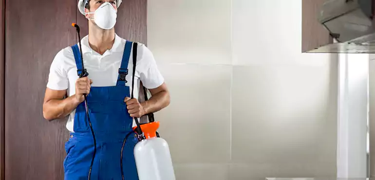Why San Diego Homeowners Choose Us When Pests Make Selling Difficult